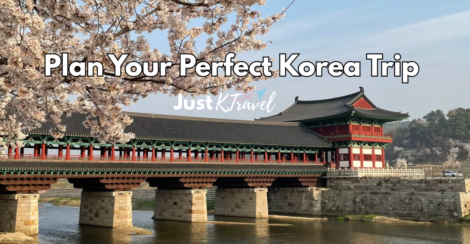 Cherry blossoms blooming near Woljeong Bridge in Gyeongju during Korea’s spring cherry blossom season