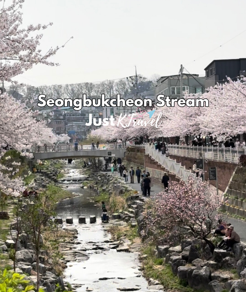 Korea cherry blossom spring travel guide