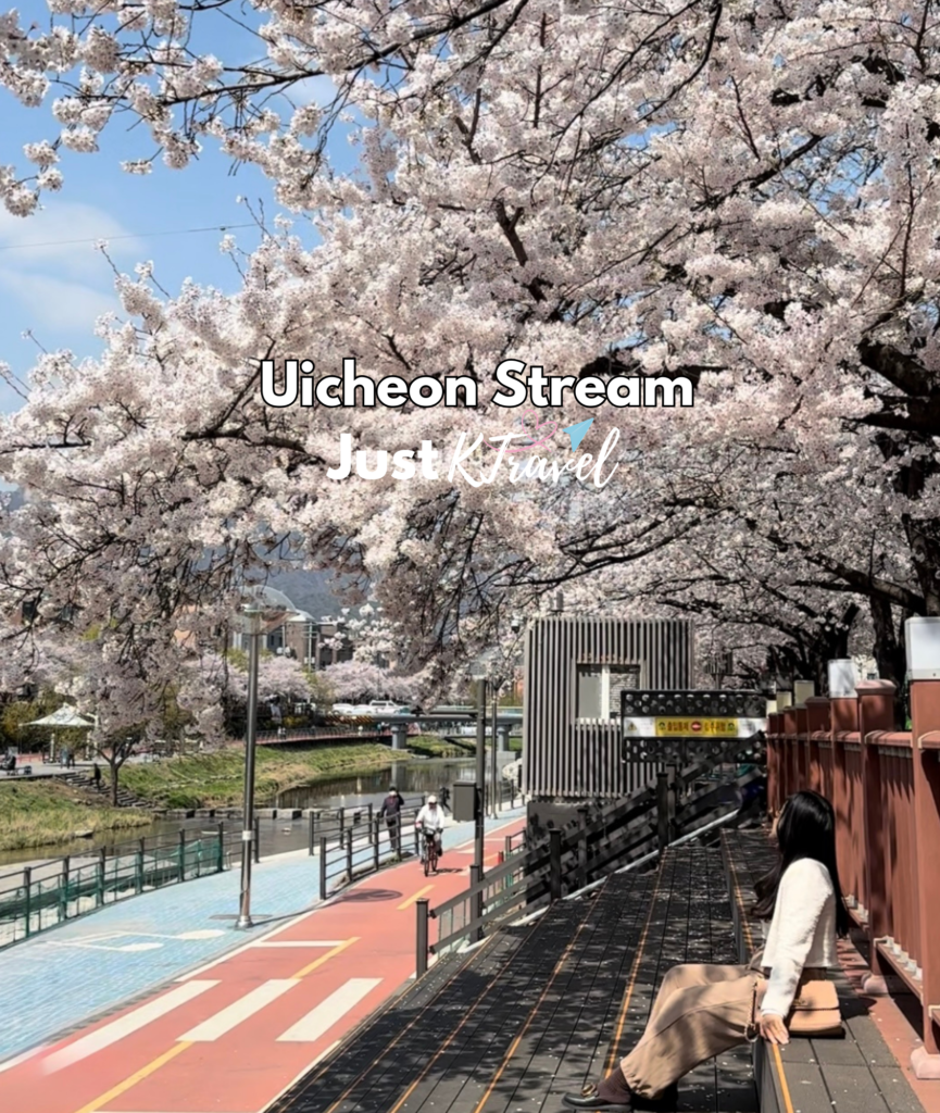 Korea cherry blossom spring travel guide