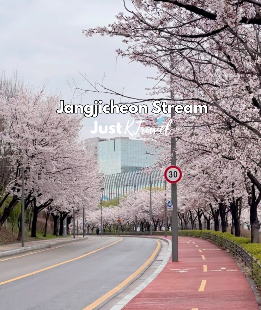 Korea cherry blossom spring travel guide