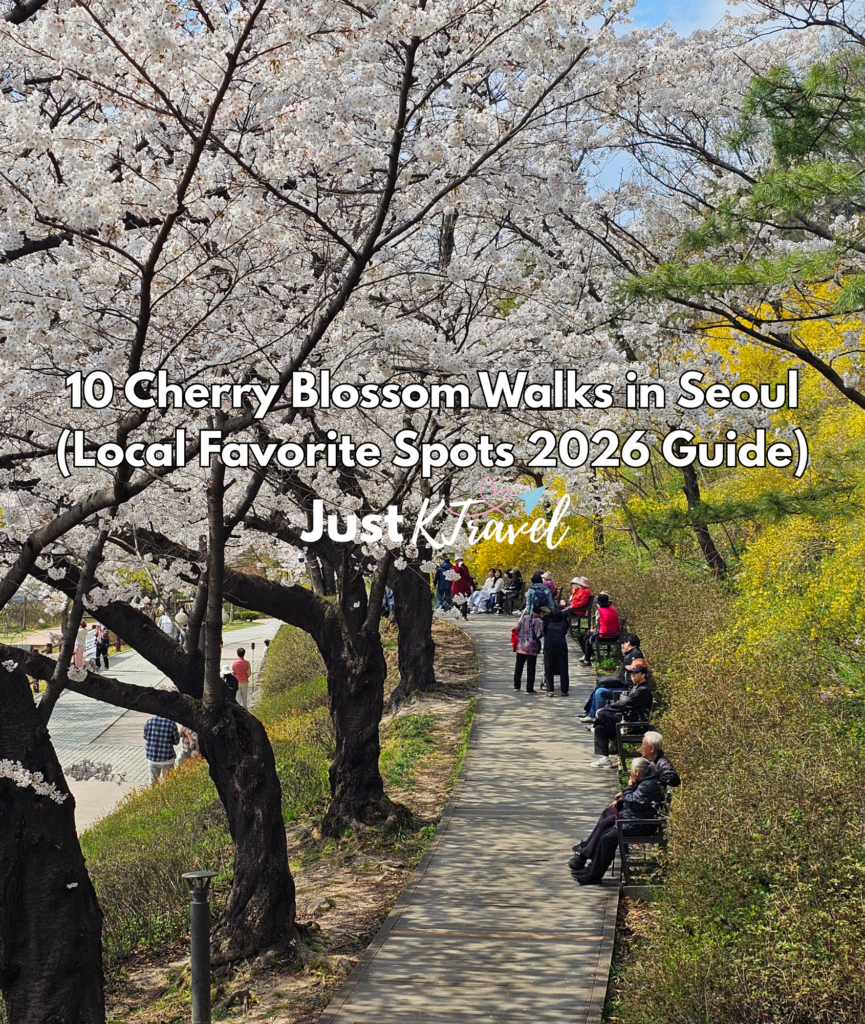 Korea cherry blossom spring travel guide