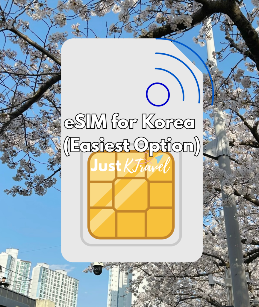 Traveler activating eSIM for mobile data after arriving at Incheon International Airport