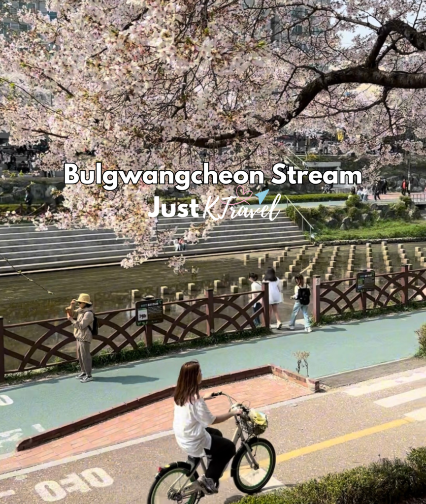 Korea cherry blossom spring travel guide