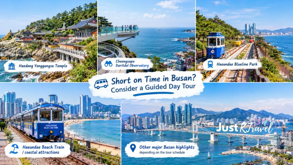 Travelers visiting Busan coastal attractions on a guided day tour