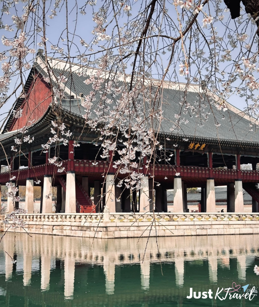 Cherry blossoms at Gyeongbokgung Palace in Seoul during spring