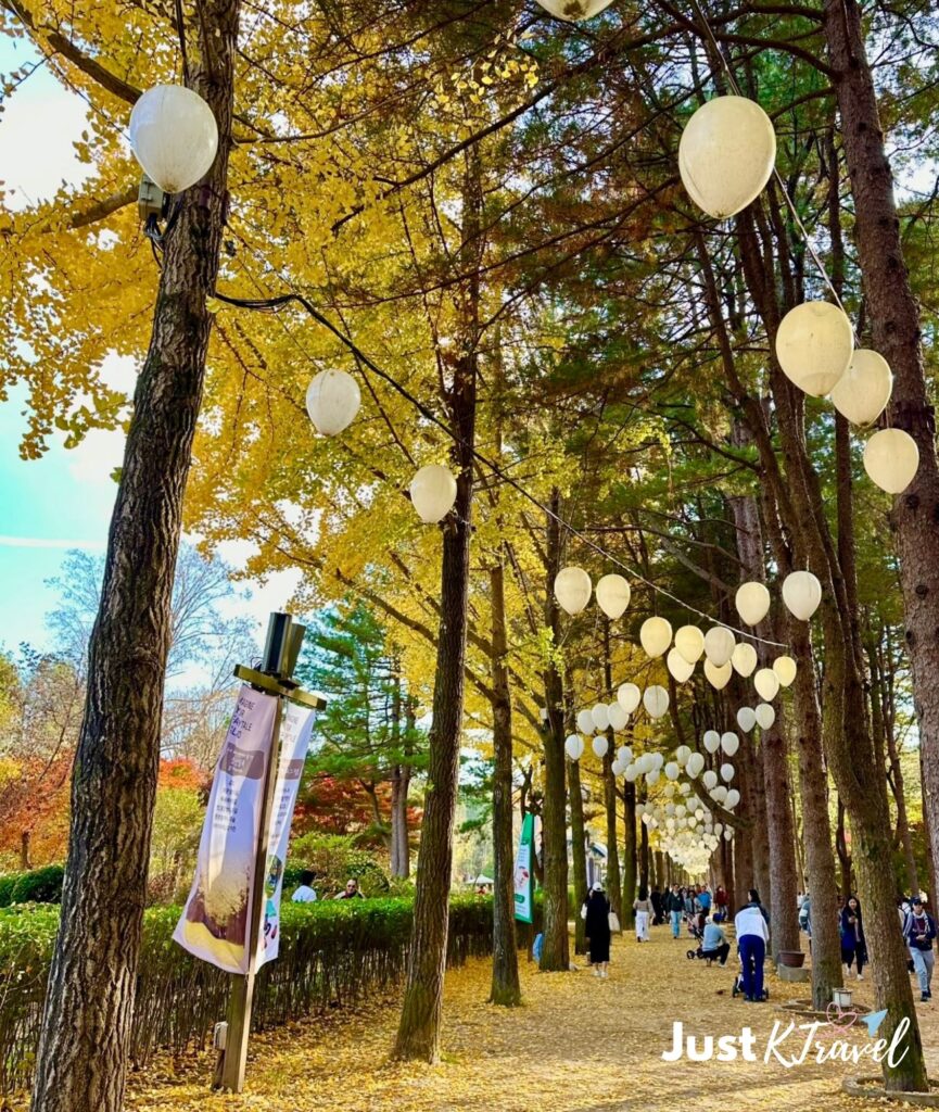 Nami Island in autumn with colorful fall trees in Korea