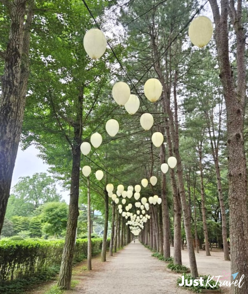 Nami Island cherry blossom tree lined path