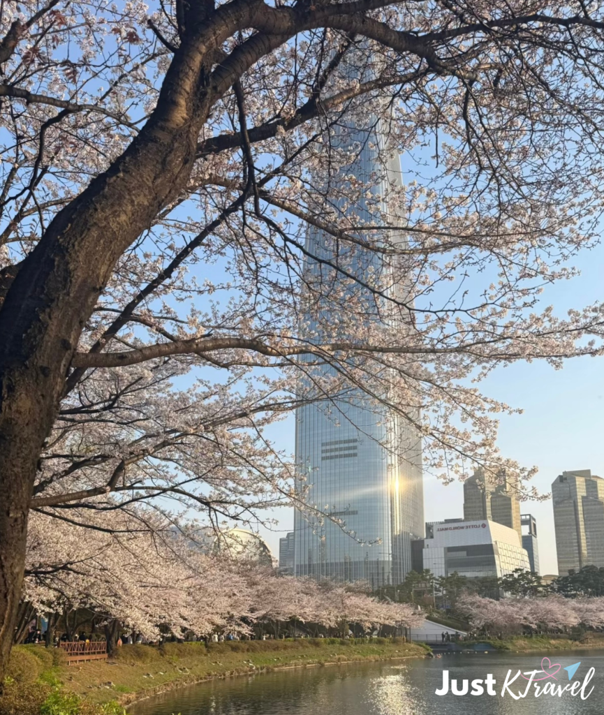 Seokchon Lake cherry blossoms with Lotte World in background