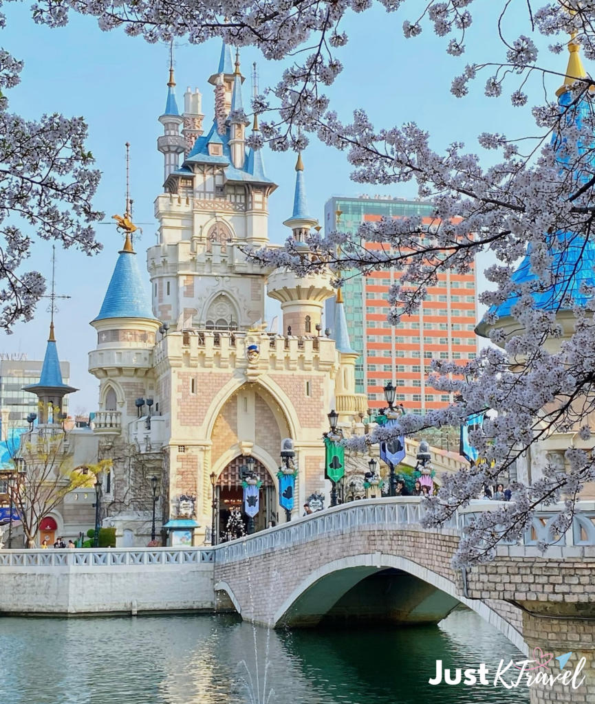 Seokchon Lake cherry blossoms with Lotte World Seoul