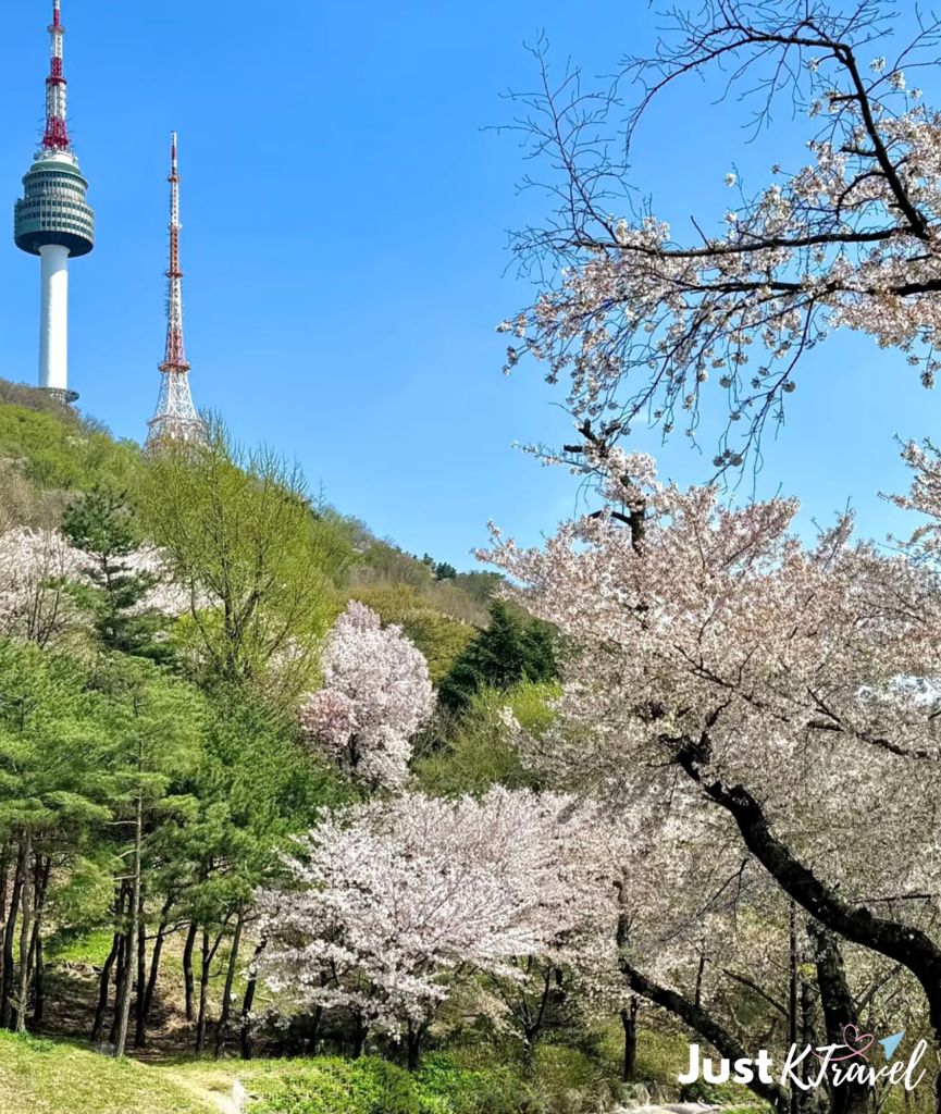 Seoul cherry blossom itinerary spring travel South Korea
