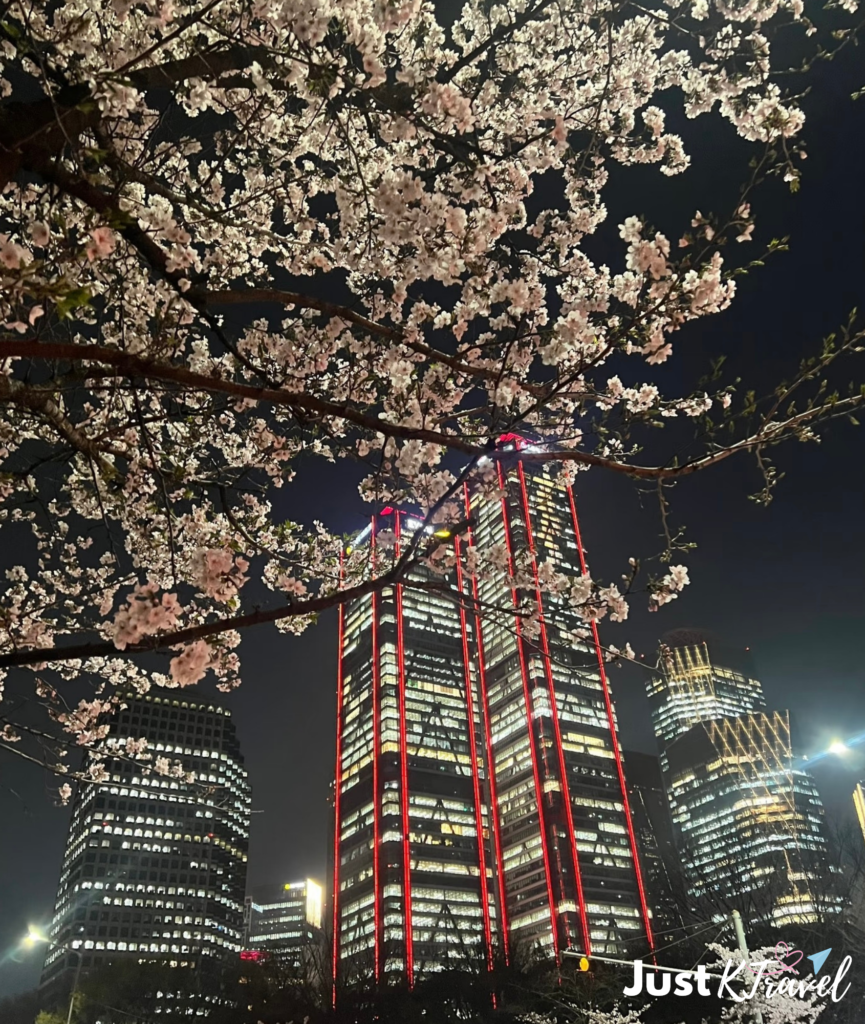 Cherry blossoms at Yeouido Hangang Park Seoul