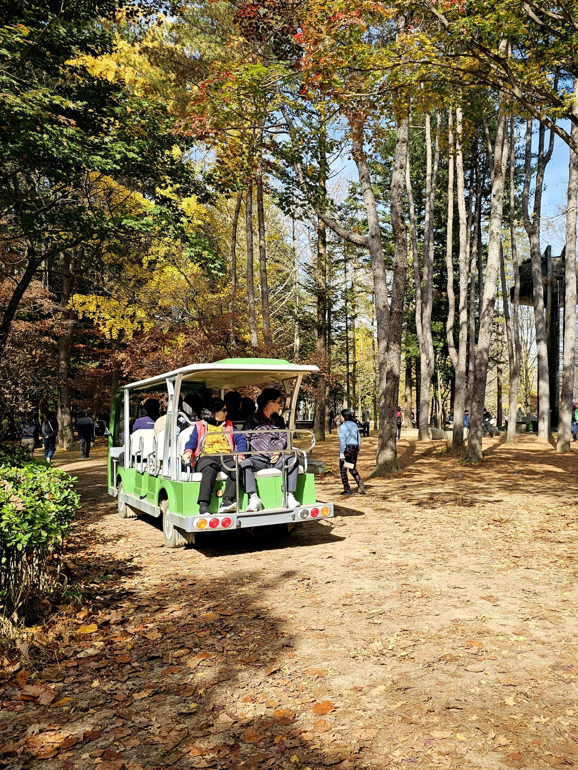 Nami Island story tour bus sightseeing