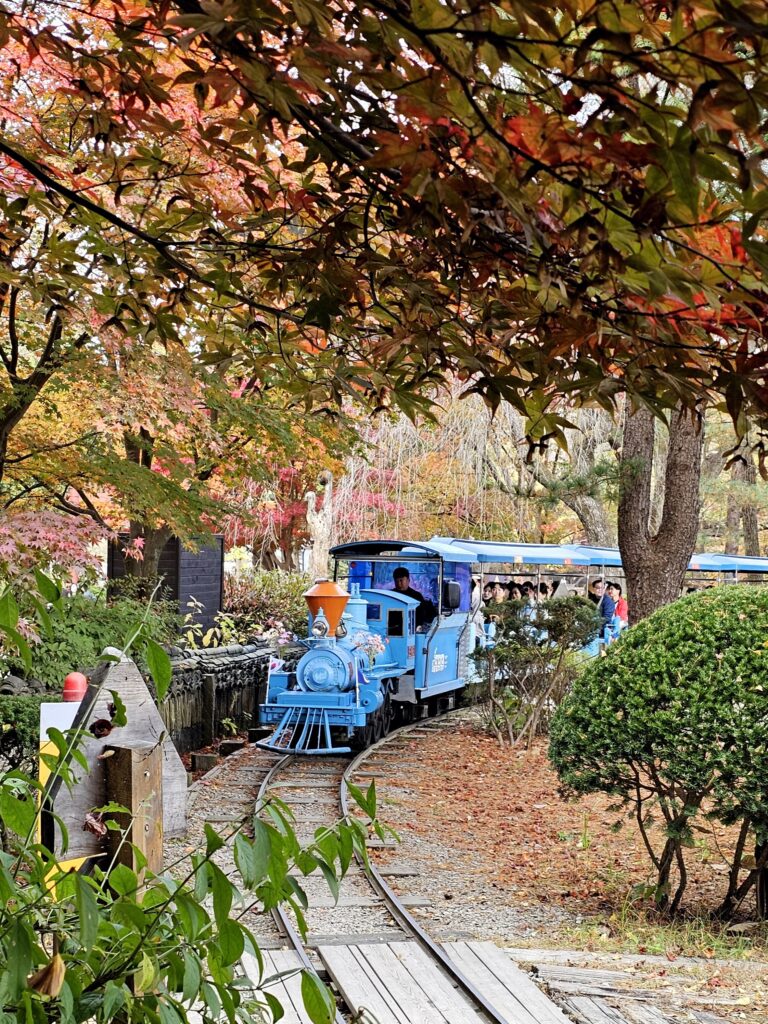 Nami Island mini train ride around the island Korea