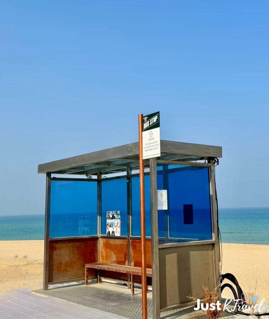 BTS bus stop in Gangneung beach famous filming location Korea day trip from Seoul