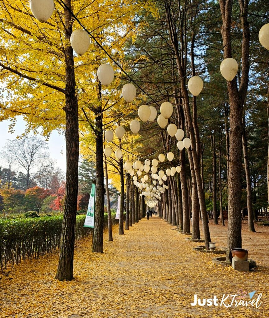 Ginkgo tree lane Nami Island autumn Korea