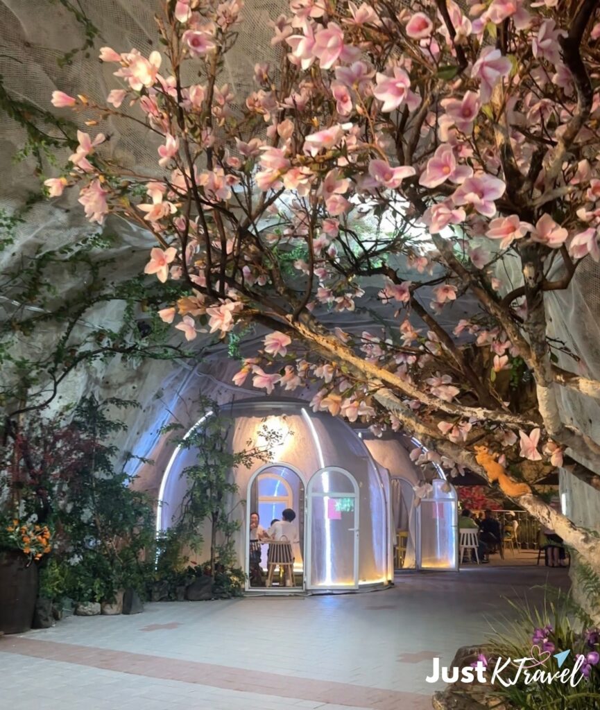 Unique cave cafe experience in Chungju Korea