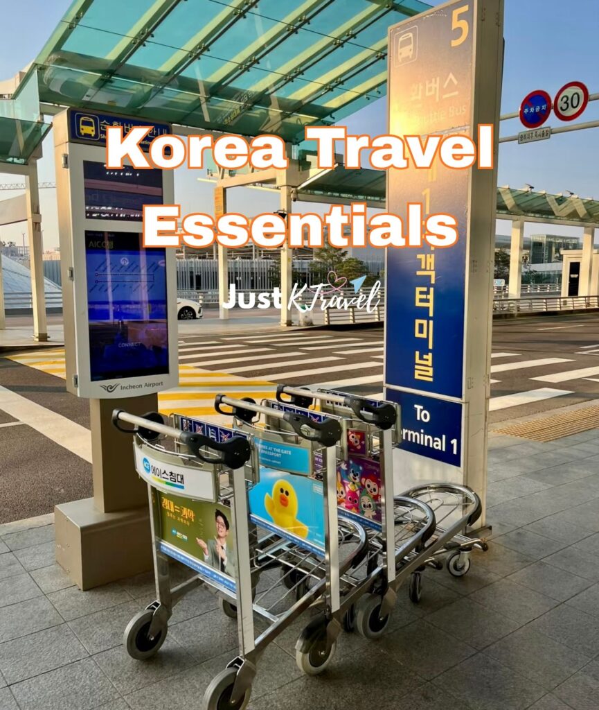 Korean travel essentials including T-Money card, Korean won cash, and airport travel items