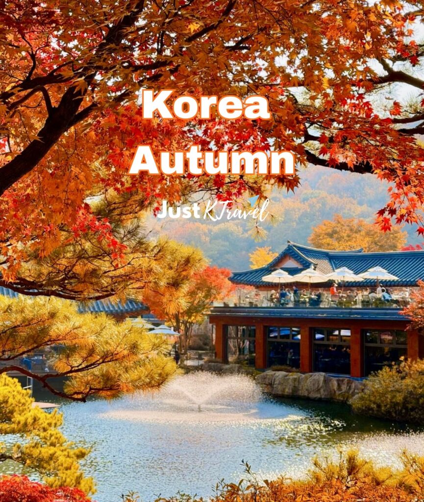 Korea autumn scenery with colorful maple leaves and forest landscape in South Korea