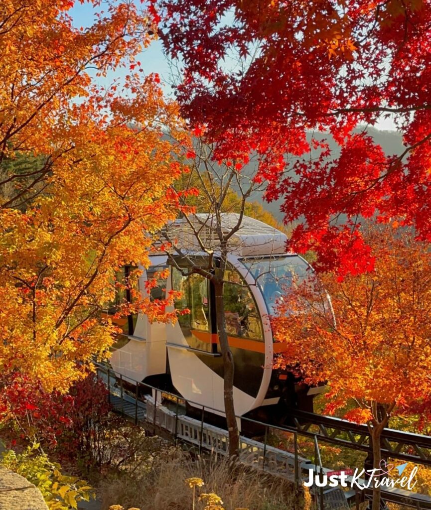 Hwadam Botanic Garden monorail surrounded by colorful autumn foliage in Korea