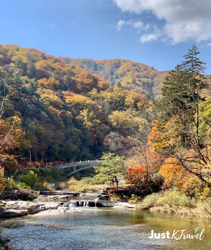 Autumn foliage along the Woljeongsa Fir Tree Forest Path in Odaesan National Park