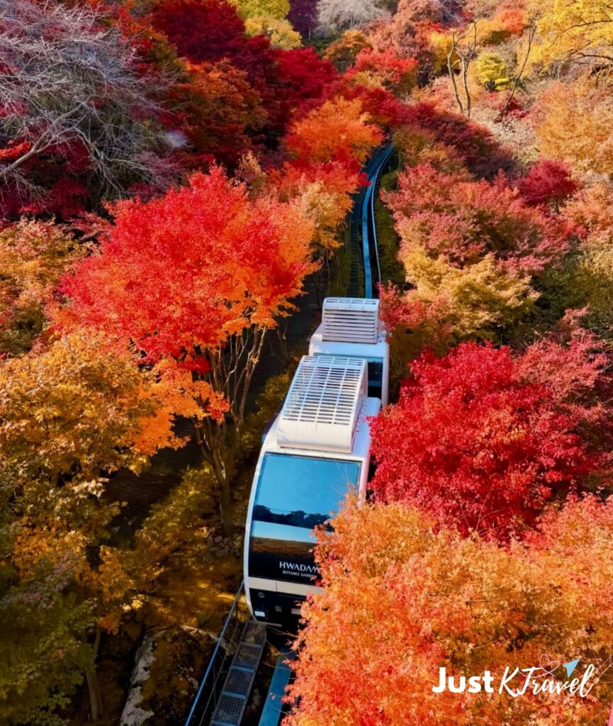 Autumn scenery viewed from the monorail at Hwadam Botanic Garden in Gyeonggi-do