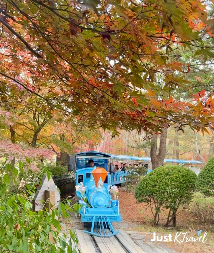 Nami Island charity train passing through colorful autumn foliage in Korea