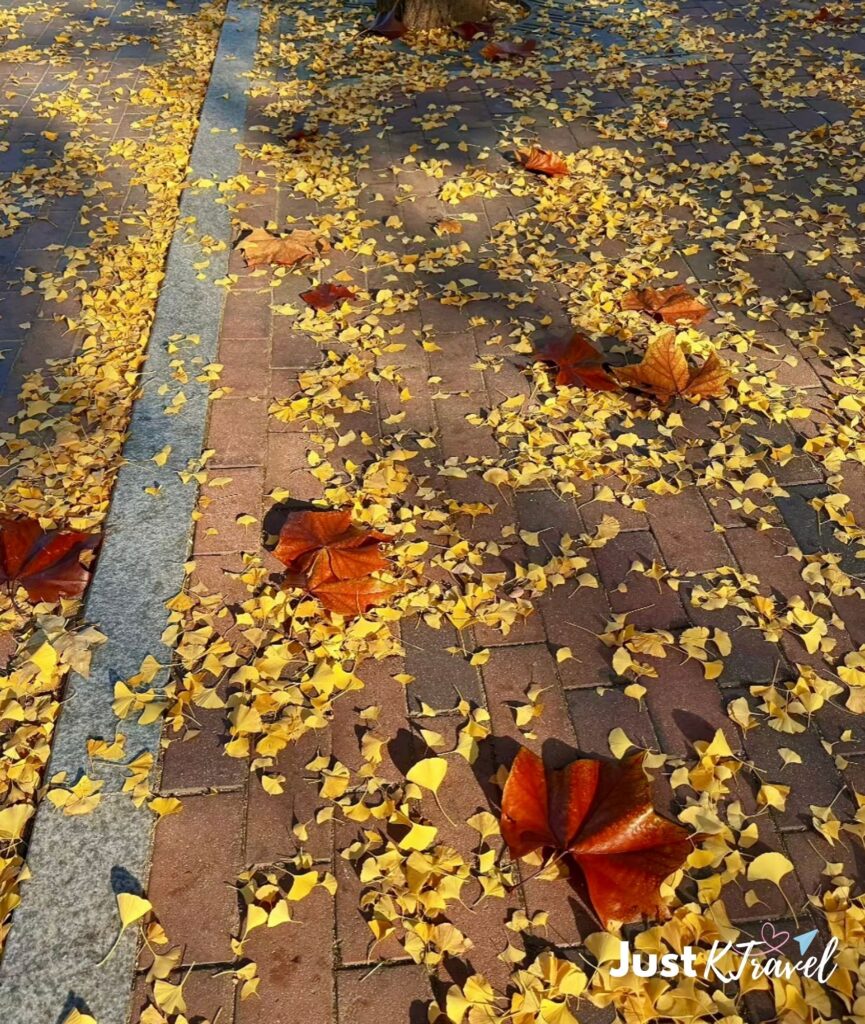 Autumn pathway at Children's Grand Park rear entrance covered in colorful fall leaves