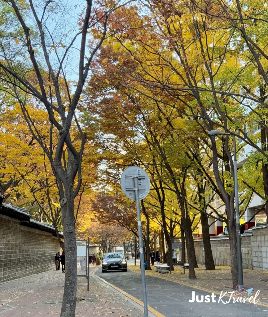 Autumn foliage along Deoksugung Stone Wall Road with golden leaves framing historic palace walls in Seoul