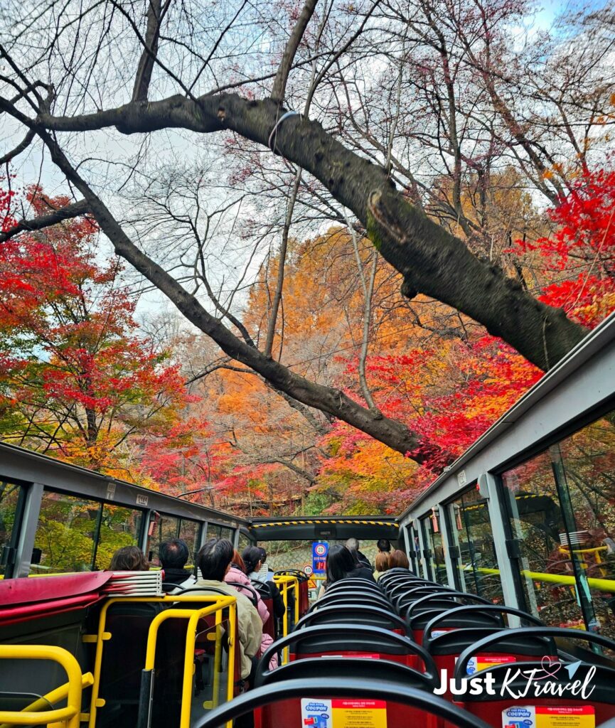 Open-top city tour bus passing autumn scenery near Namsan Mountain covered in fall foliage