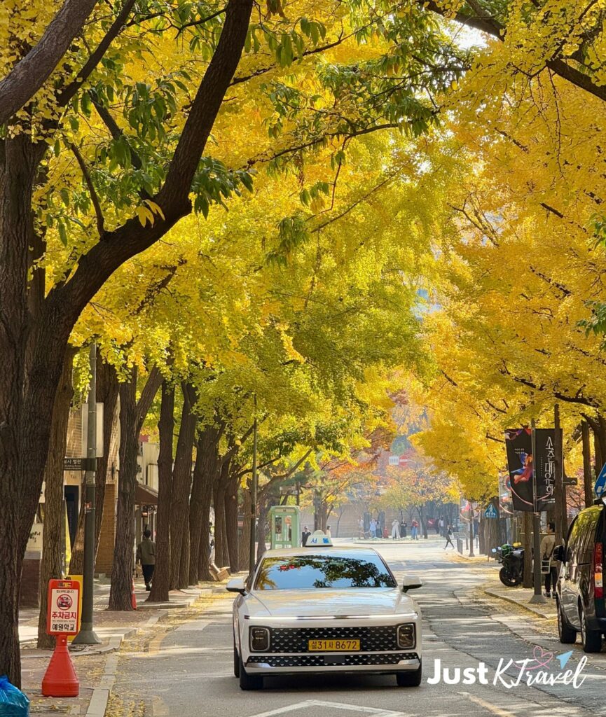 Autumn street scene on Jeongdong-gil with yellow leaves and a passing taxi in central Seoul