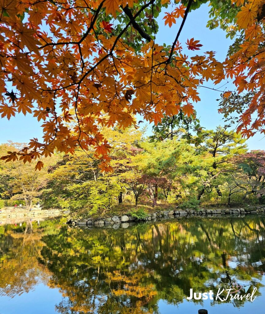 Autumn lake scenery at Changgyeonggung Palace reflecting colorful fall trees in calm water