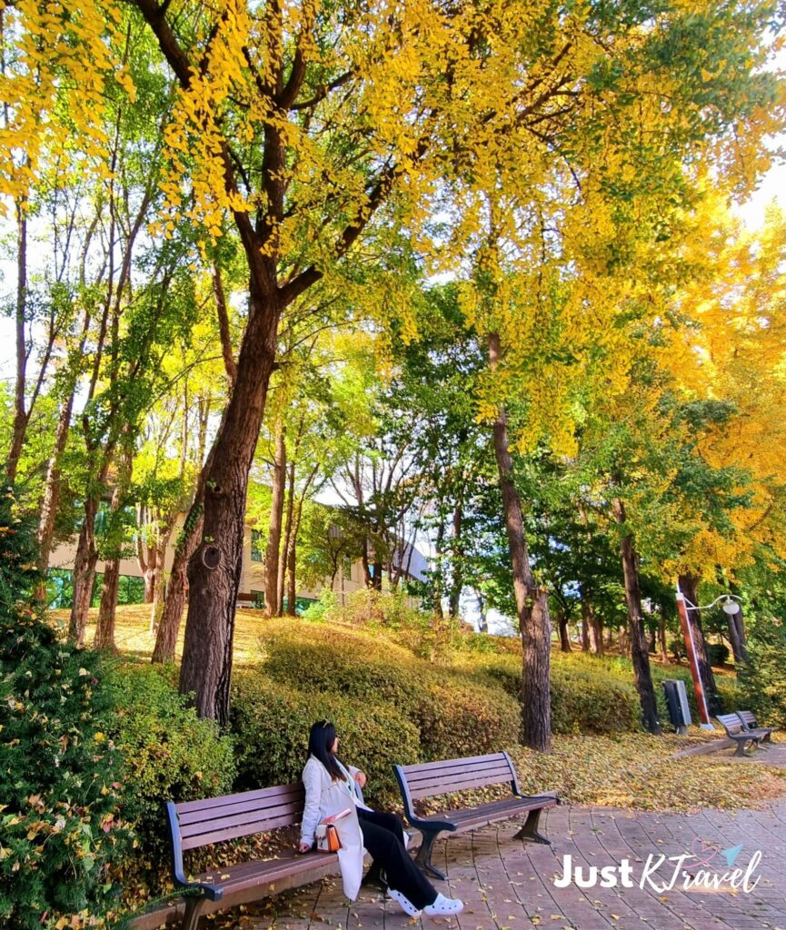 Person sitting among autumn trees at Olympic Park surrounded by colorful fall leaves in Seoul
