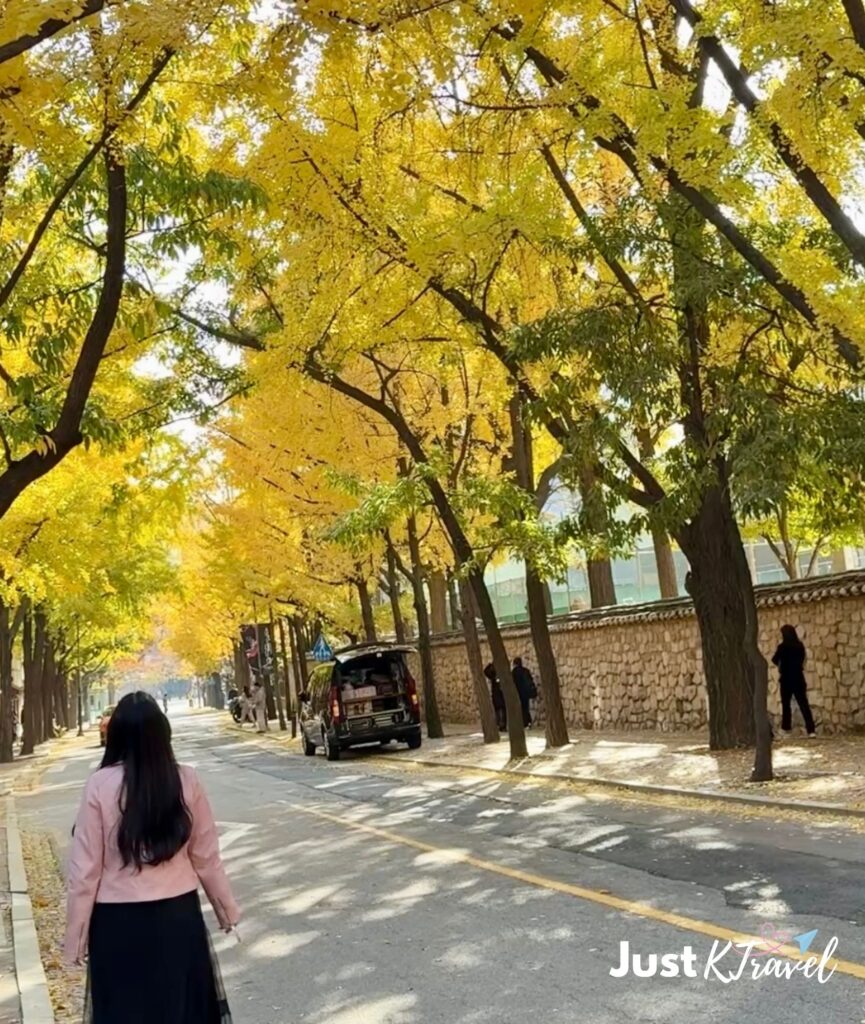 Autumn street scene on Jeongdong-gil with yellow leaves