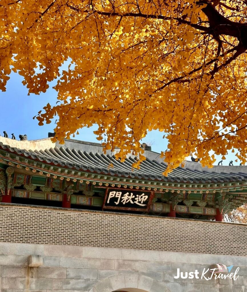 Best places to see autumn foliage in Seoul at Gyeongbokgung Palace gate