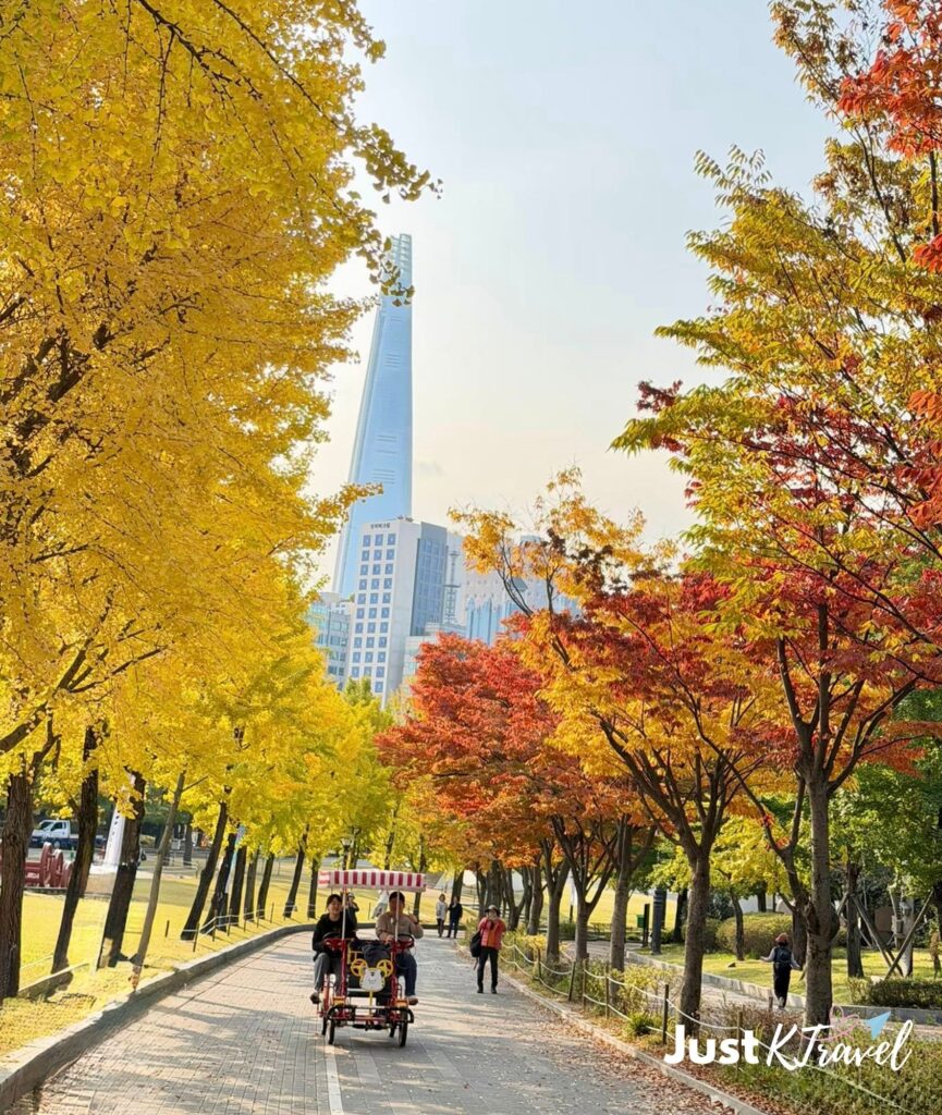 Cyclist enjoying autumn foliage at Olympic Park Seoul