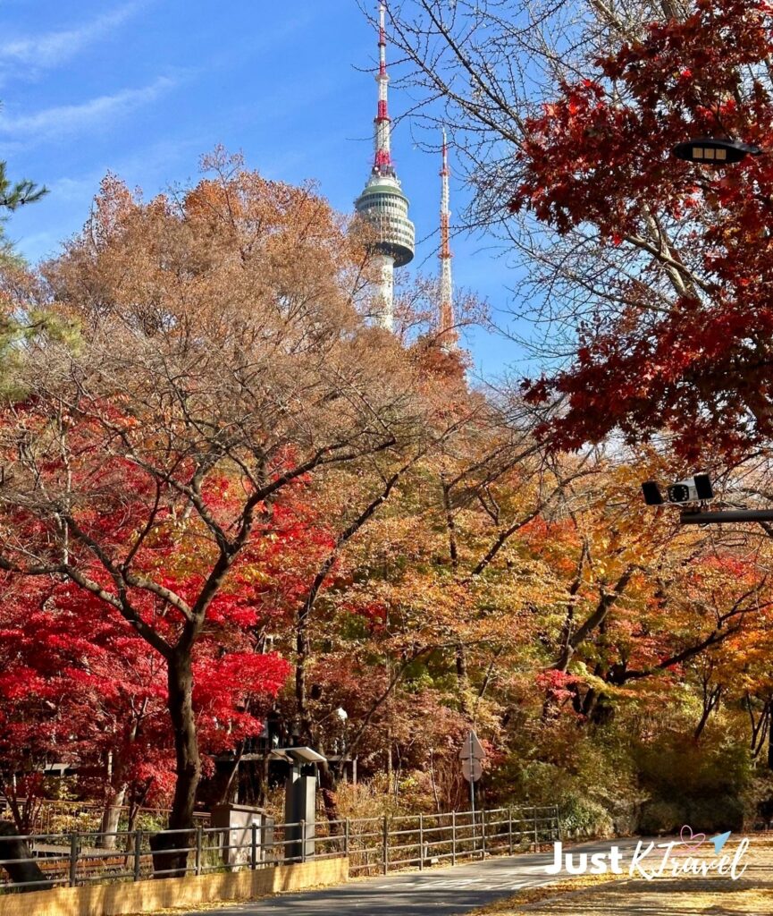 Namsan Park autumn foliage with N Seoul Tower