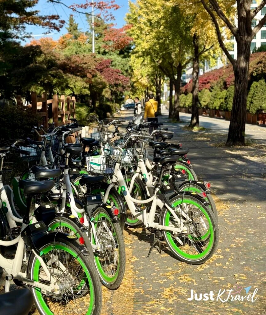 Yeouido Hangang Park autumn foliage in Seoul