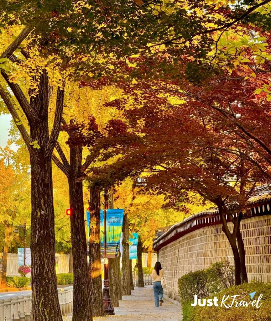 Seoul autumn foliage with colorful red and yellow leaves around N Seoul Tower during peak fall season