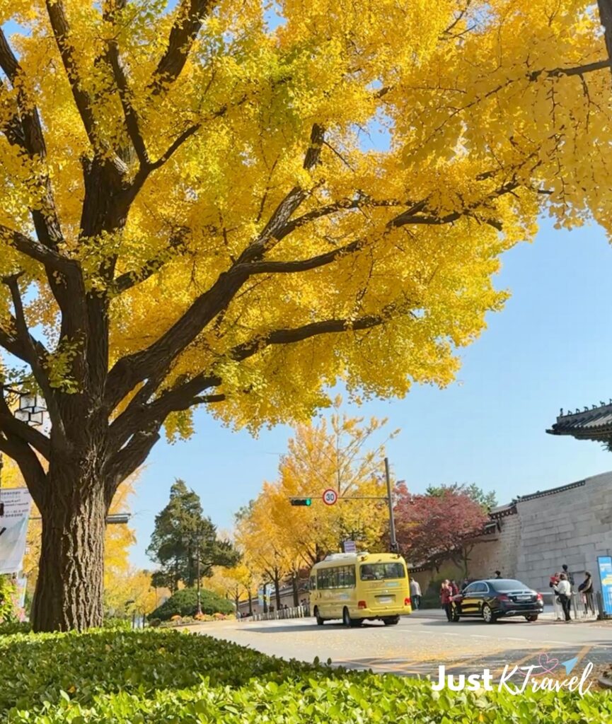 Gyeongbokgung Palace surrounded by autumn trees in Seoul Korea
