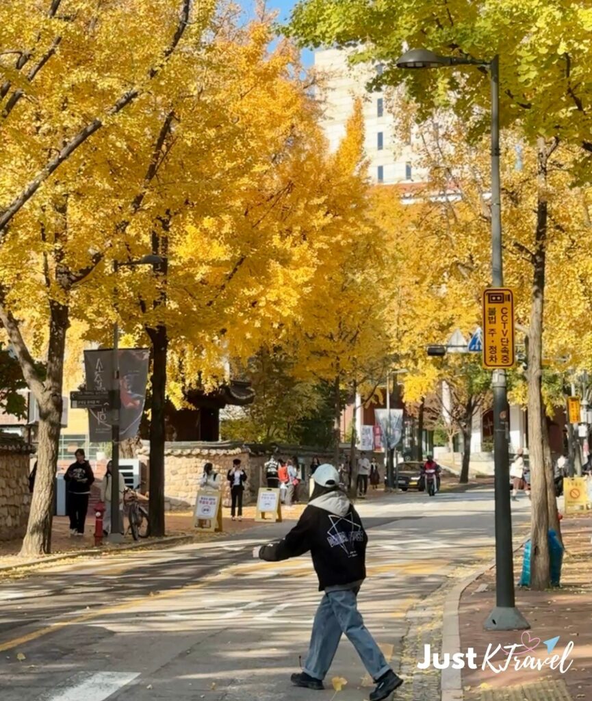 Traveler walking on an autumn street in Korea wearing comfortable clothes