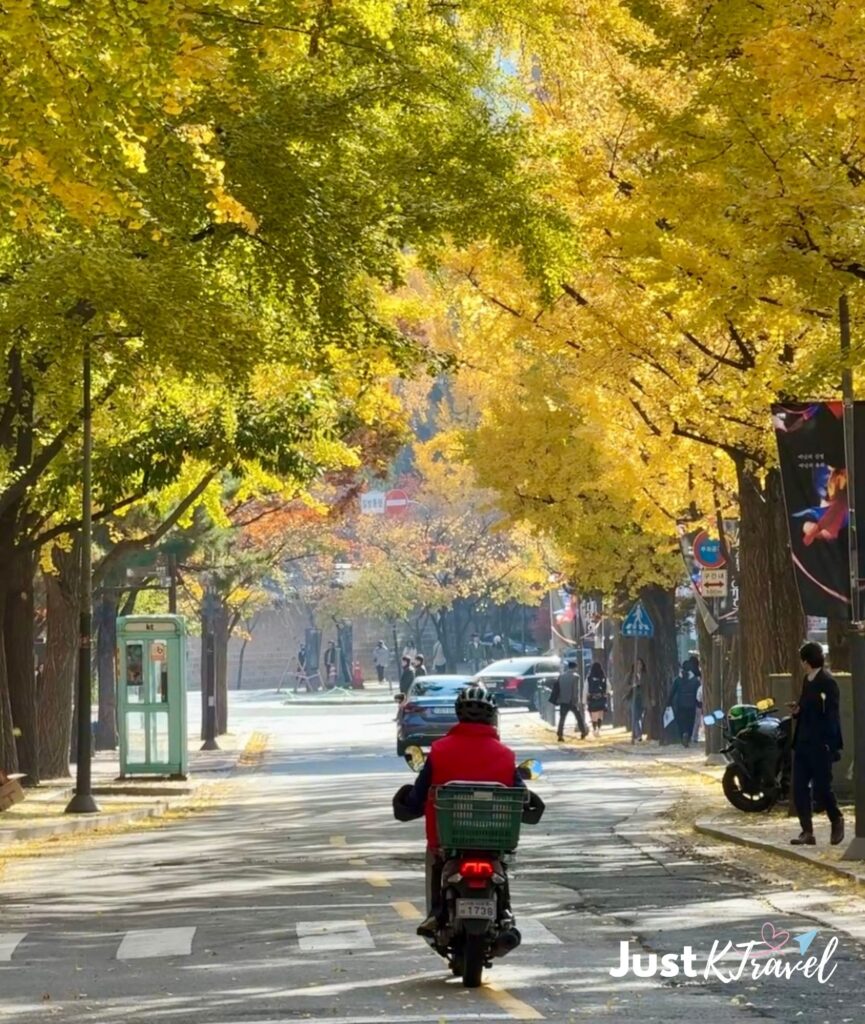 Traveler wearing a jacket riding a motorcycle through autumn foliage in Korea