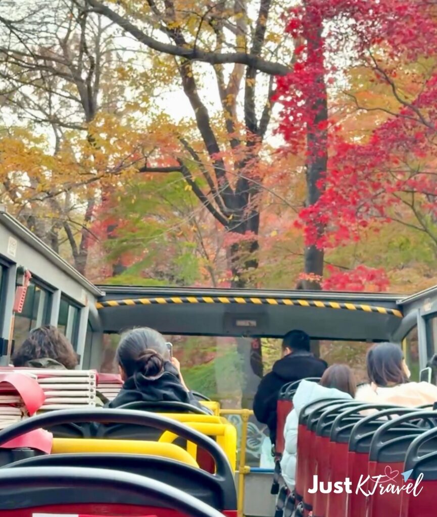 Seoul City Tour Bus surrounded by autumn foliage