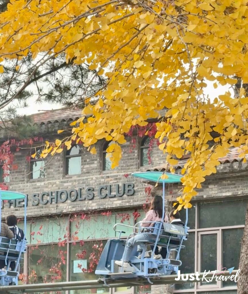 Nami Island autumn scenery with sky bike activity in Korea