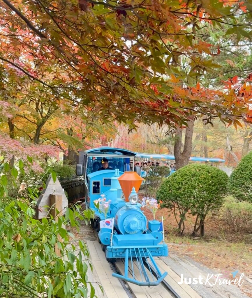 Danubi Train at Nami Island during autumn