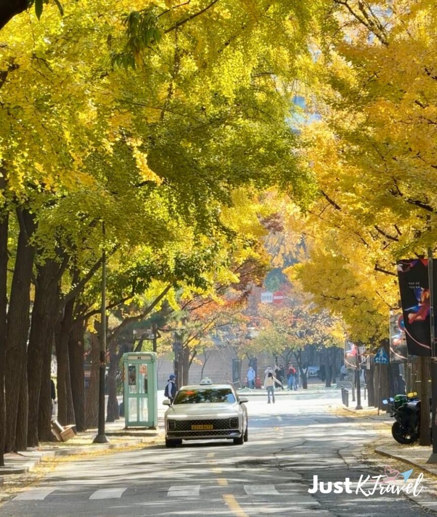 Autumn street in Seoul with colorful fall foliage and a Korean taxi