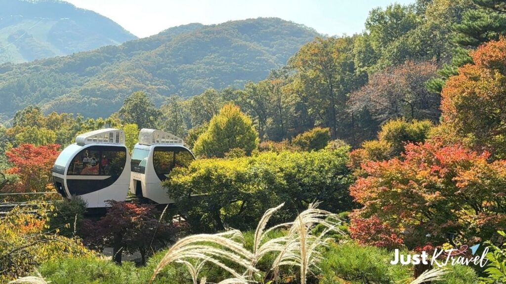 Hwadam Forest monorail surrounded by early autumn foliage