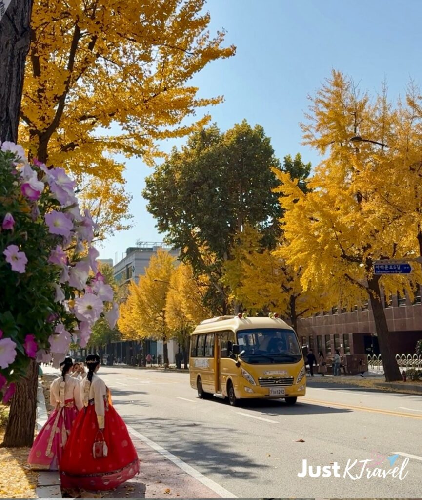 Women wearing hanbok walking along Hyoja-ro surrounded by autumn foliage in Seoul