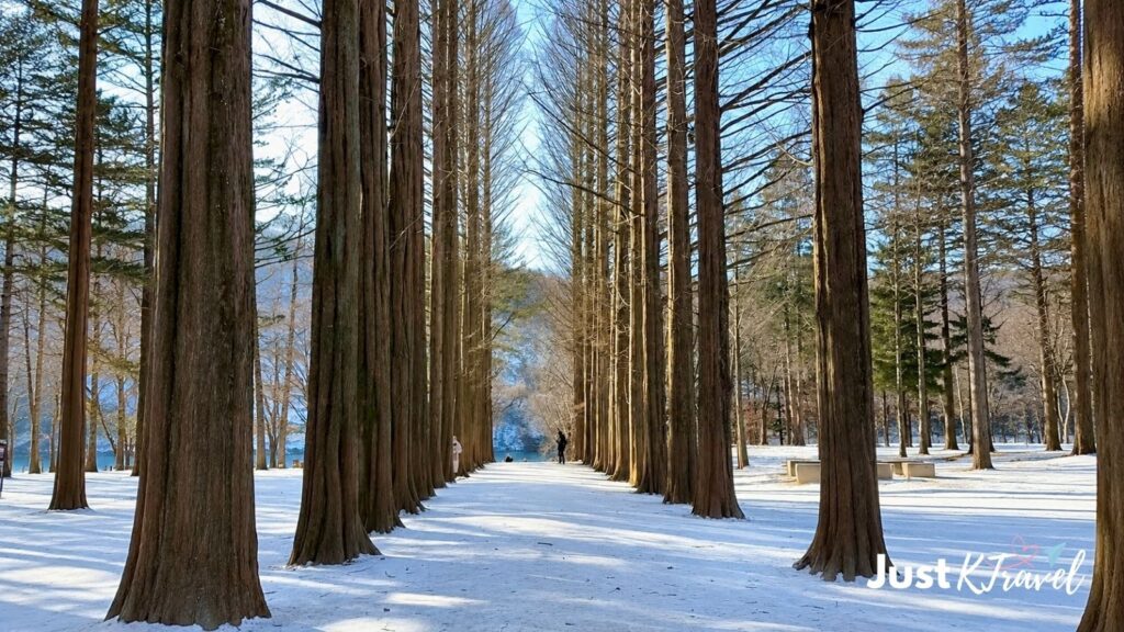 Snow-covered Nami Island and frozen Eobi Ice Valley in winter
