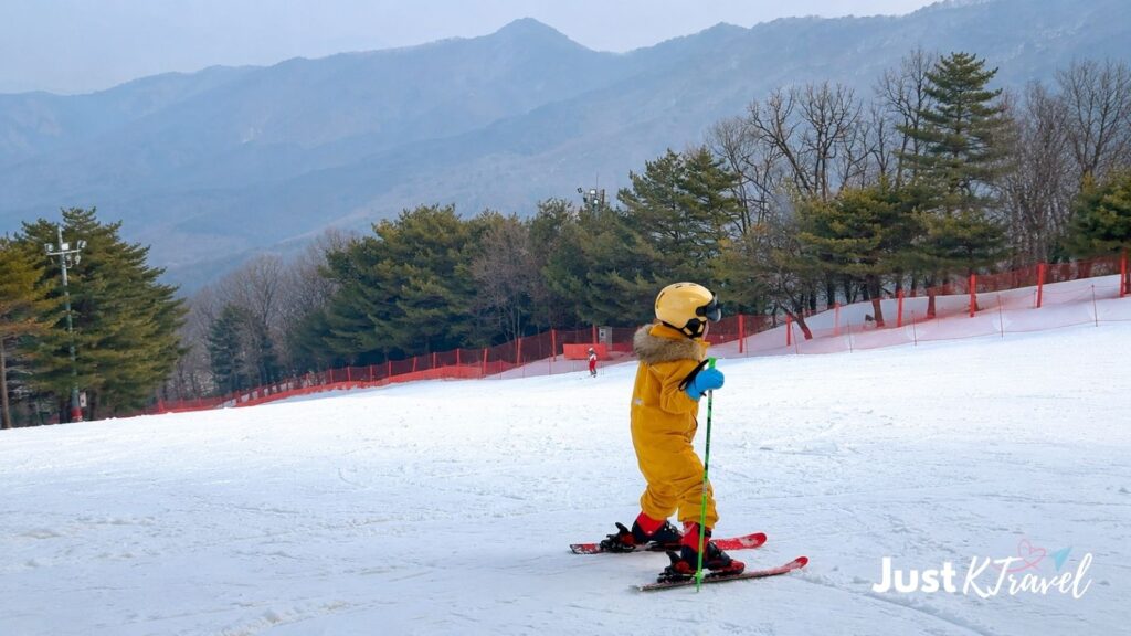 Vivaldi Park ski resort and Eobi Ice Valley winter day trip