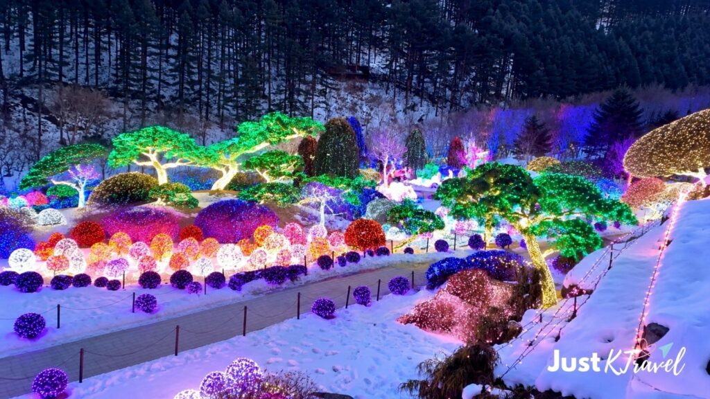 Nami Island and Garden of Morning Calm winter scenery with lights